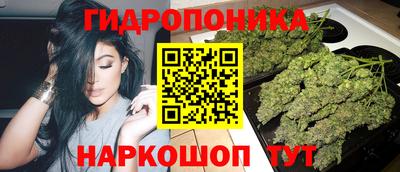 прущий лед Будённовск