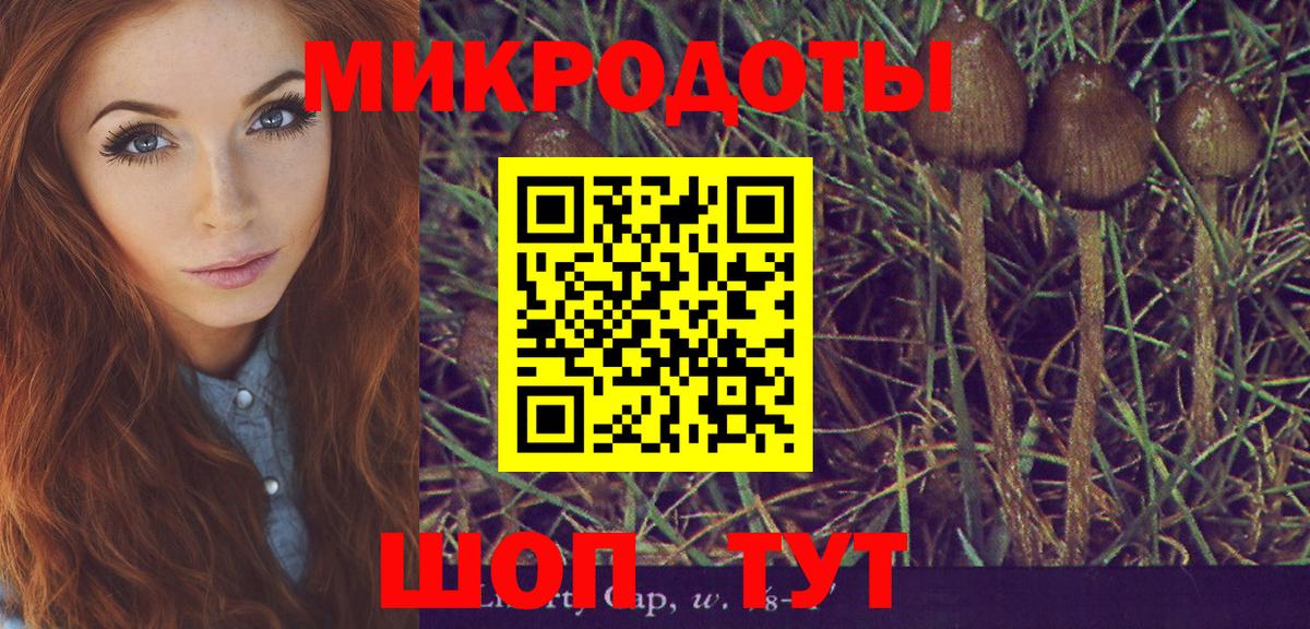 Видное  Псилоцибиновые грибы Cubensis  Вход с VPN 